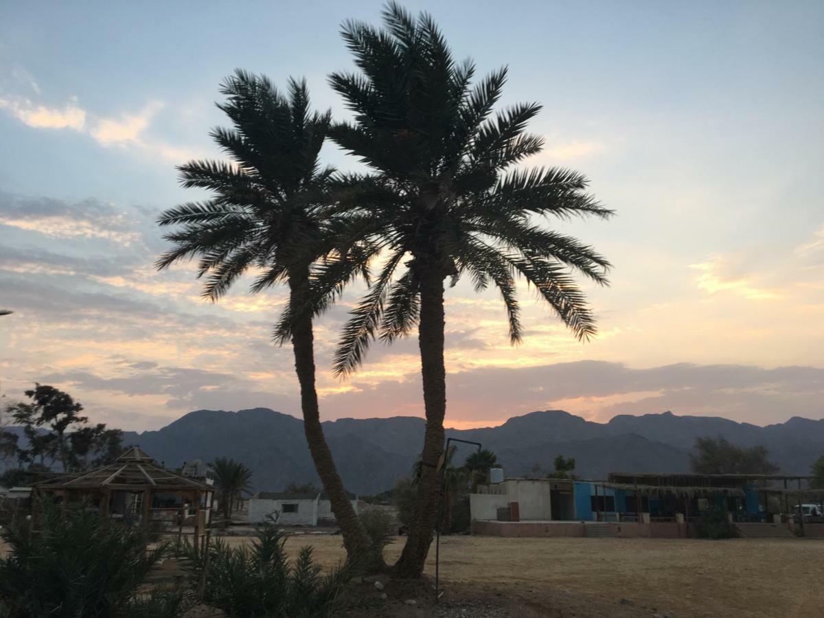 Sina Star Camp Hotel Nuweiba Ngoại thất bức ảnh